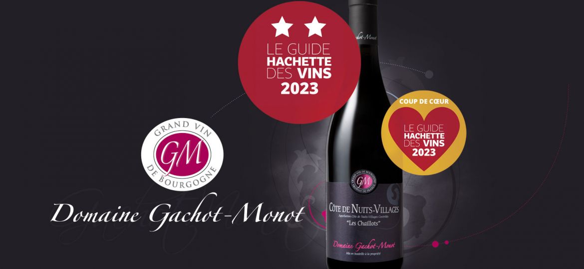 Gachot-Monot-Guide-Hachette-Vins-2023