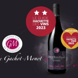 Gachot-Monot-Guide-Hachette-Vins-2023