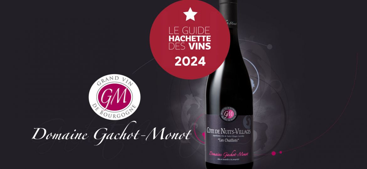Gachot-Monot-Guide-Hachette-Vins-2024