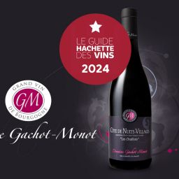 Gachot-Monot-Guide-Hachette-Vins-2024